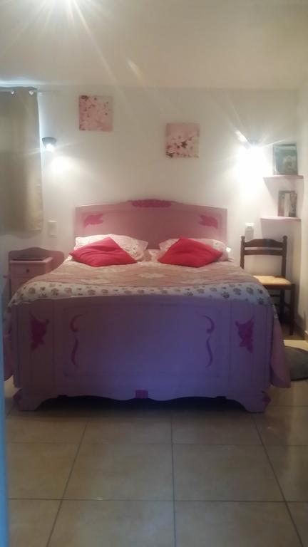 Chambres D'Hotes Anne-Marie Chatillon-sur-Indre Exterior photo