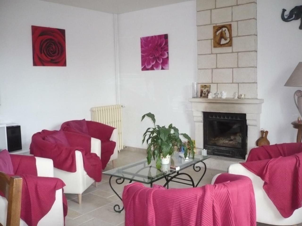 Chambres D'Hotes Anne-Marie Chatillon-sur-Indre Exterior photo